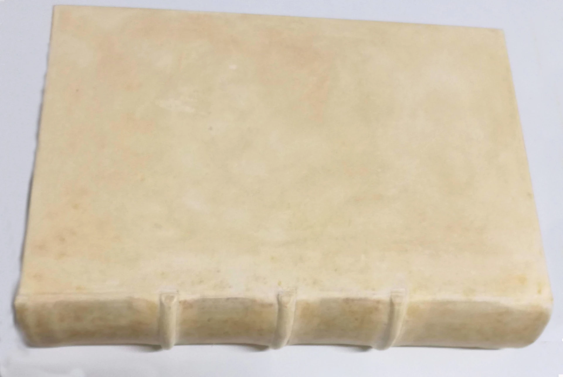  Volume con coperta in pergamena rigida strappata e attacco fungino dopo il restauro