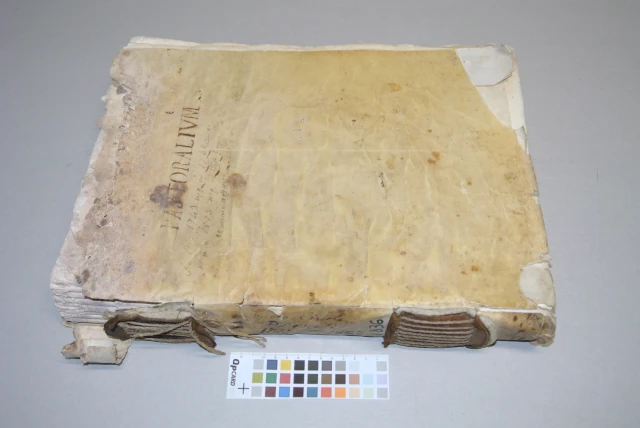 Legatura d'archivio con lacerazioni e filo di cucitura spezzato prima del restauro